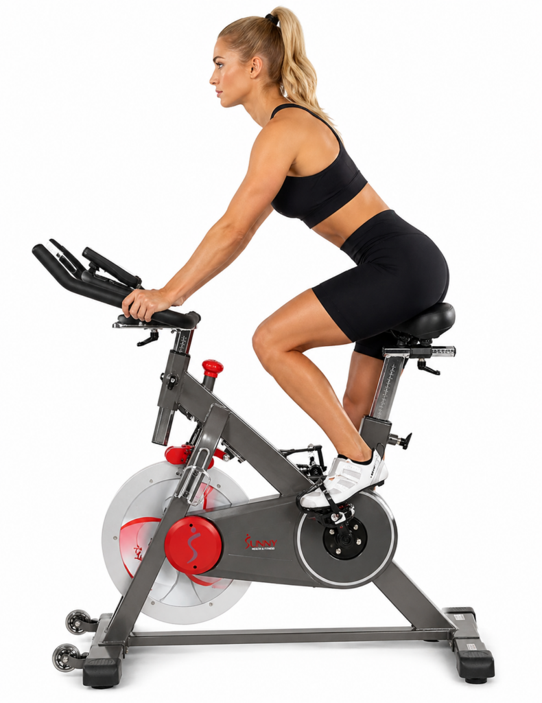 Sunny Health & Fitness SF-B1709 Magnetic Indoor Cycling Bike
